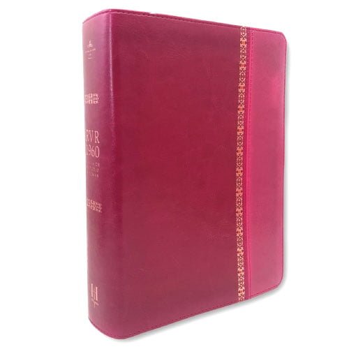 Biblia De Estudio Holman Reina Valera Fucsia Rosado Librer A Kyrios