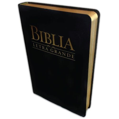 Biblia Reina Valera Letra Grande Pjr Flexible Filo Dorado