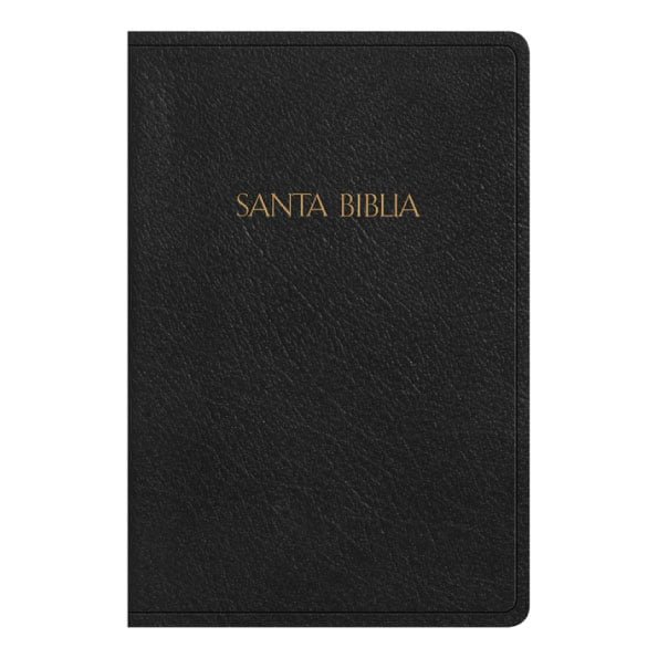 Biblia Reina Valera Chica Pjr Tapa Negra Filo Dorado Librer A Kyrios