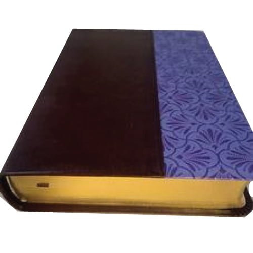 Biblia Reina Valera Letra Grande Pjr Filo Dorado Holman Tapa Vino