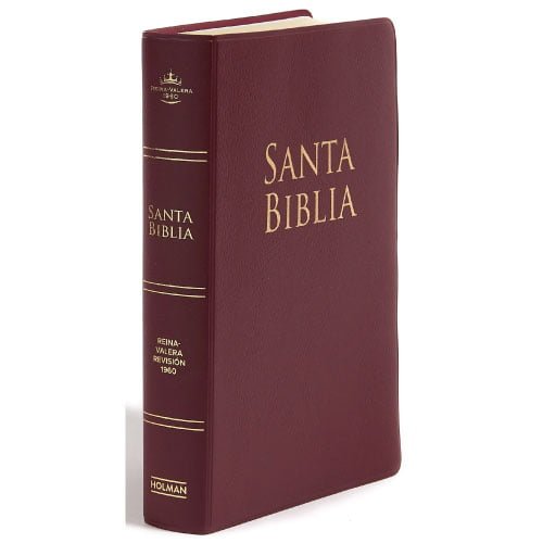 Biblia Reina Valera Letra Grande Pjr Holman Vinil Vino Librer A