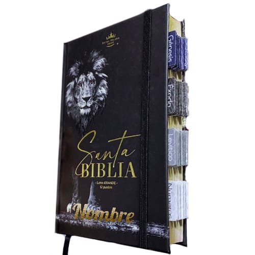 Biblia Personalizada Con Nombre Tabs Reina Valera Letra Grande