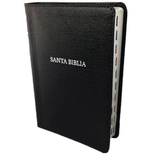 Biblia Nvi Letra Grande Tapa Flexible Negra Con Indice Librer A Kyrios