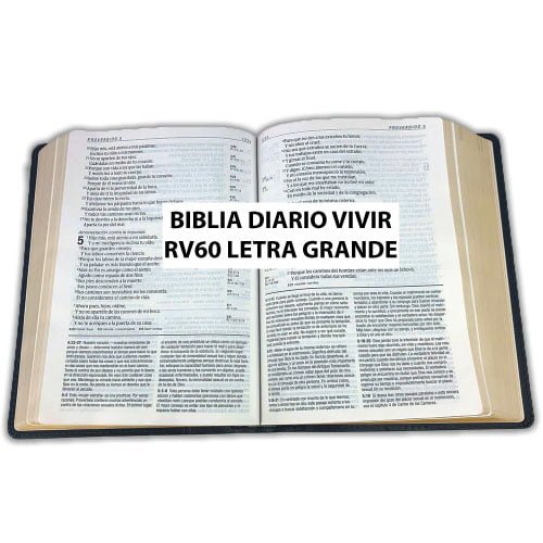 Biblia de Estudio Diario Vivir Reina Valera 1960 Letra Grande