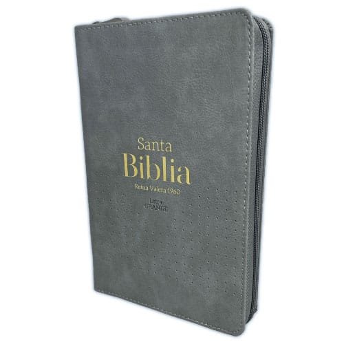 Biblia Reina Valera 1960 Letra GRANDE Gris filo dorado con