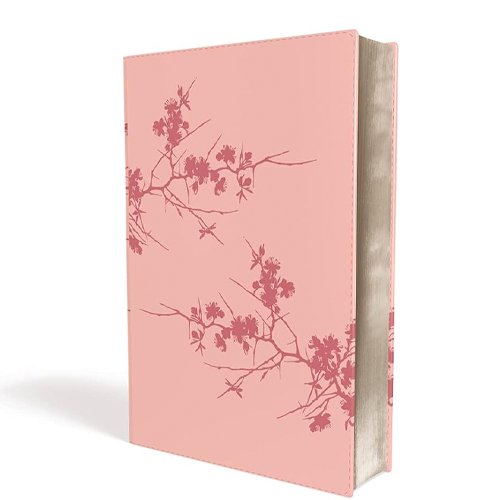 Biblia De Estudio Serie 50 Reina Valera 1960 - Piel Imitación Rosado Con Índice